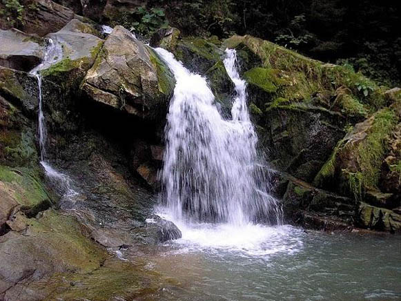 Image - Skole Beskyd National Nature Park